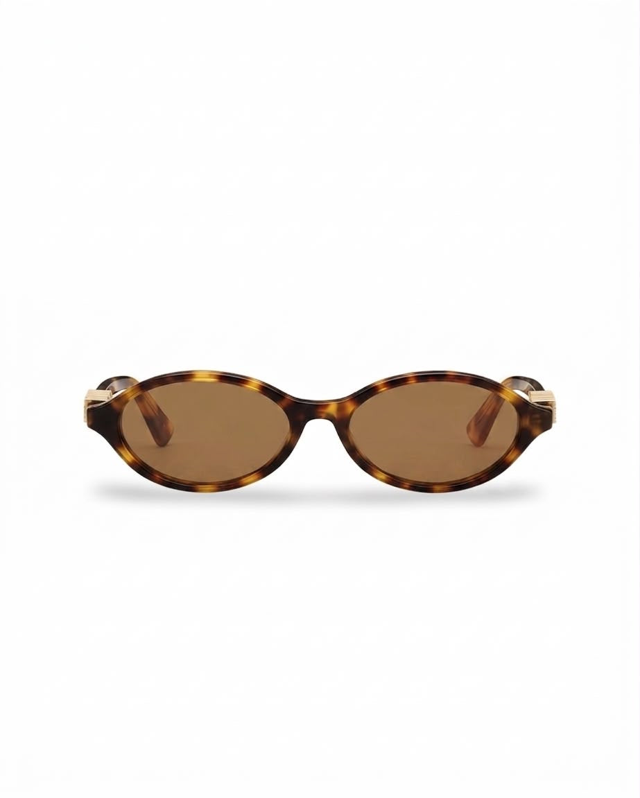 DIORTREASURE R1i